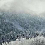 La Taniere Vaujany
