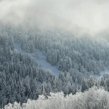 La Tanière Vaujany