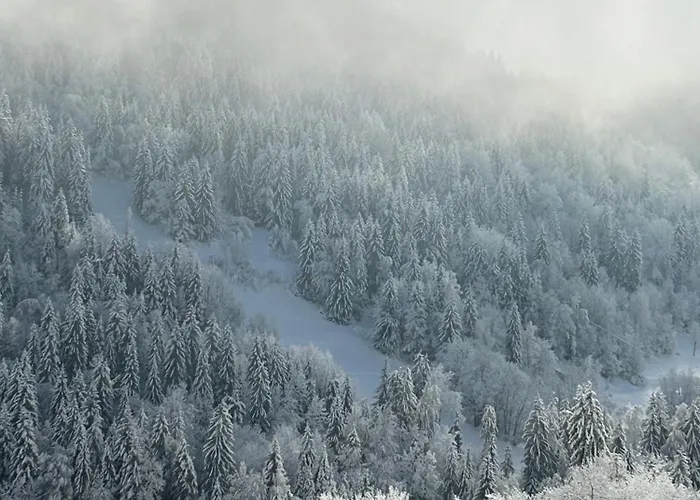 La Taniere Vaujany